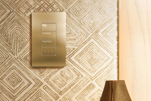 Lutron Palladiom Architectural Switches